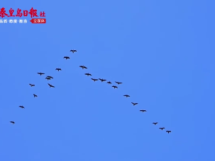 第十一屆“梅沙杯”全國青少年帆船聯(lián)賽秦皇島分站賽開賽